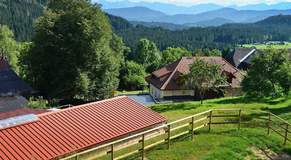 von oben mit wald 